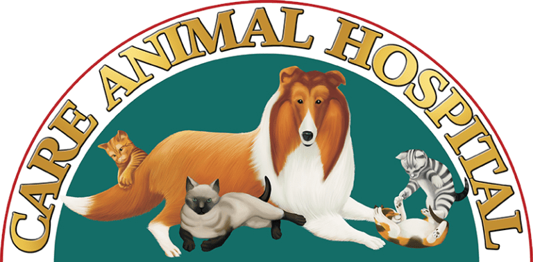 Veterinary near me | Care Animal Hospital in Muncie, IN